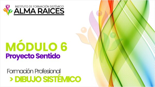 Módulo VI. Proyecto Sentido.