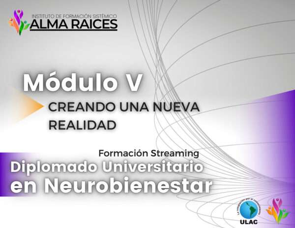 MÓDULO V CREANDO UNA NUEVA REALIDAD..