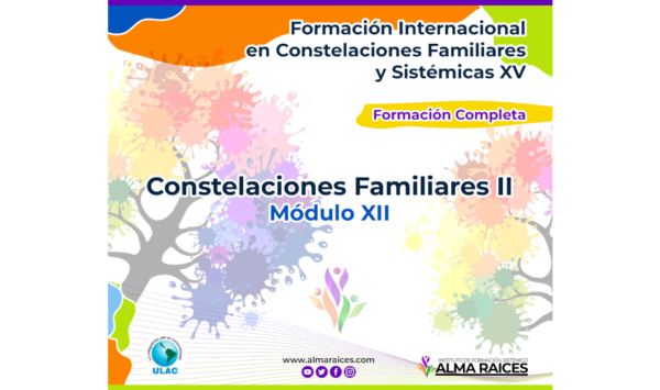 Módulo XII Constelaciones Familiares II XV
